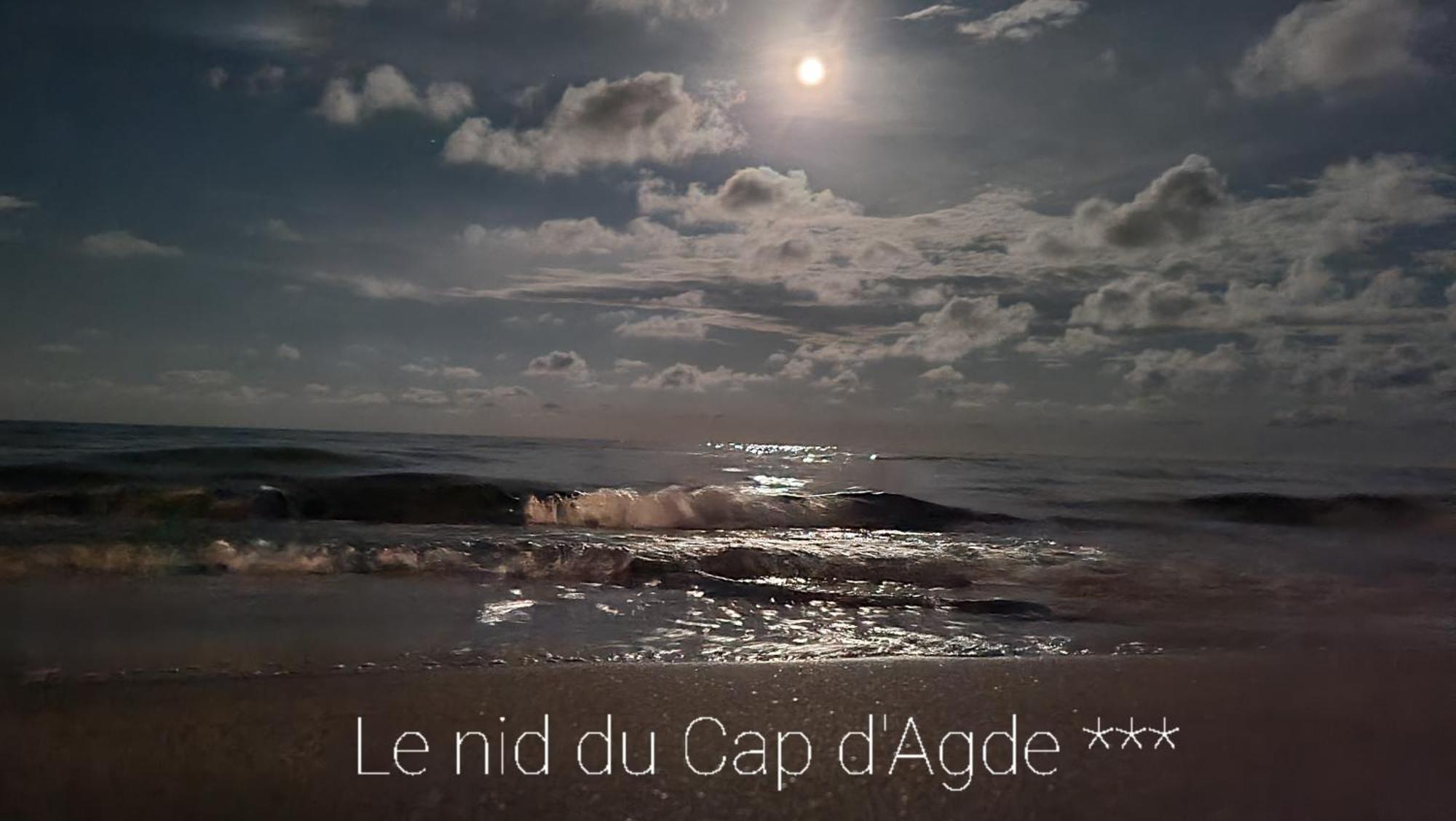 Residence De Standing La Pecherie Spacieux T3 Comme Un Cocon Familial Vue Mer Et Sur L'Avant Port Sur Le Bout Du Bout De Cap D'Agde Seule Cap En Occitanie المظهر الخارجي الصورة