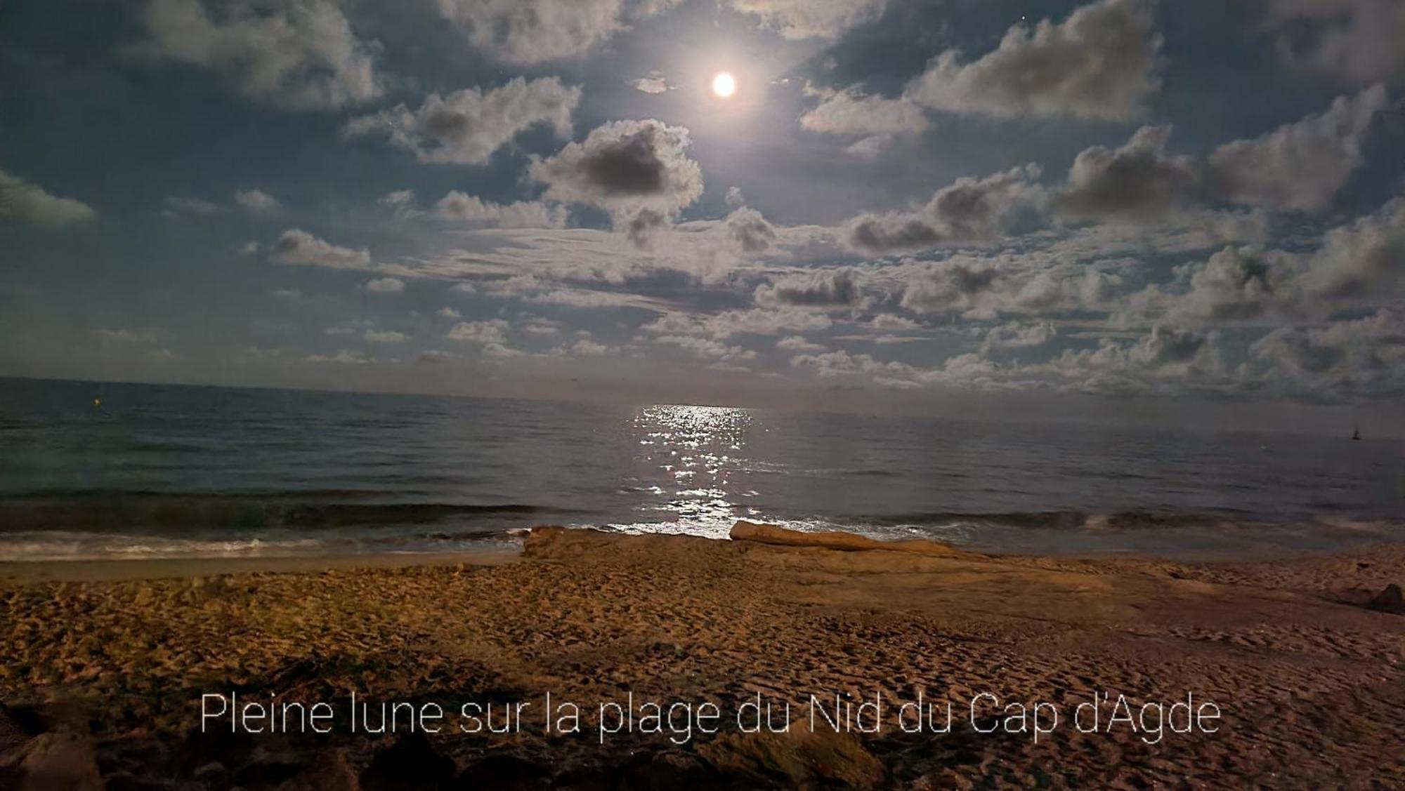 Residence De Standing La Pecherie Spacieux T3 Comme Un Cocon Familial Vue Mer Et Sur L'Avant Port Sur Le Bout Du Bout De Cap D'Agde Seule Cap En Occitanie المظهر الخارجي الصورة