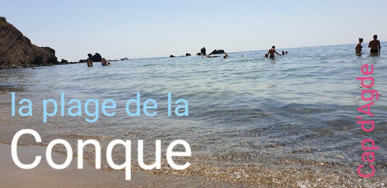 Residence De Standing La Pecherie Spacieux T3 Comme Un Cocon Familial Vue Mer Et Sur L'Avant Port Sur Le Bout Du Bout De Cap D'Agde Seule Cap En Occitanie المظهر الخارجي الصورة